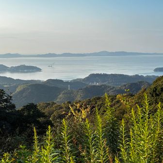 稜線から望む三河湾、渥美半島の山