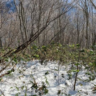 仁王山からの下り
薮🤣🤣🤣