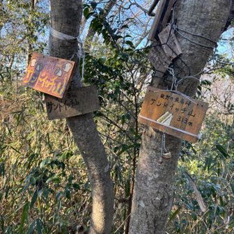 4 サンドイッチ山