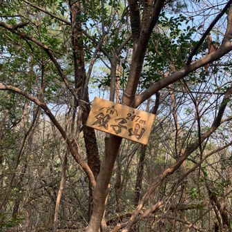 双子山山頂標識