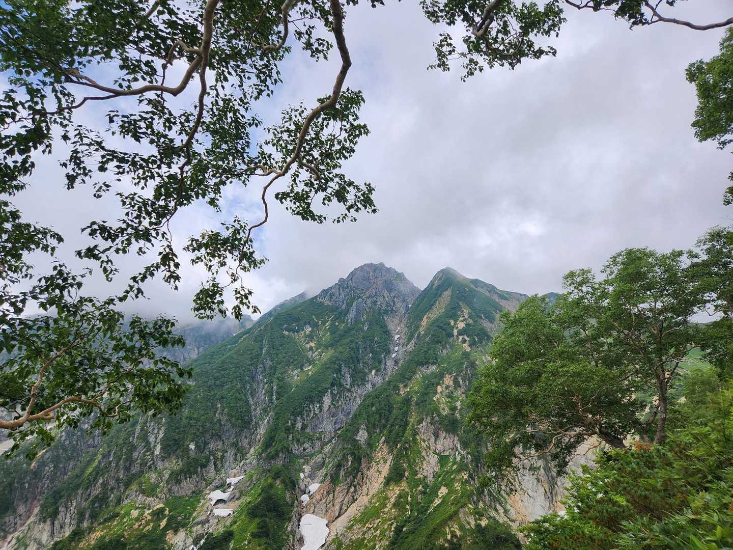 木の間から五竜岳
格好良い⛰️
