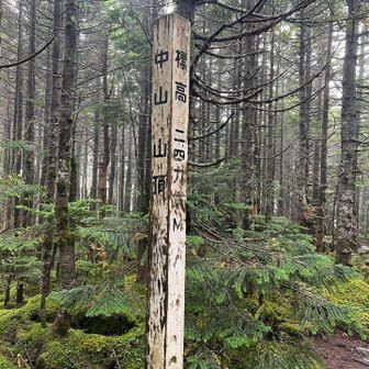 中山山頂、天気良くても眺望はなさそう。