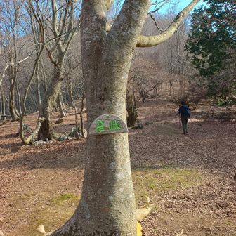 笹峠でひと休みし、この後の急登に備える。