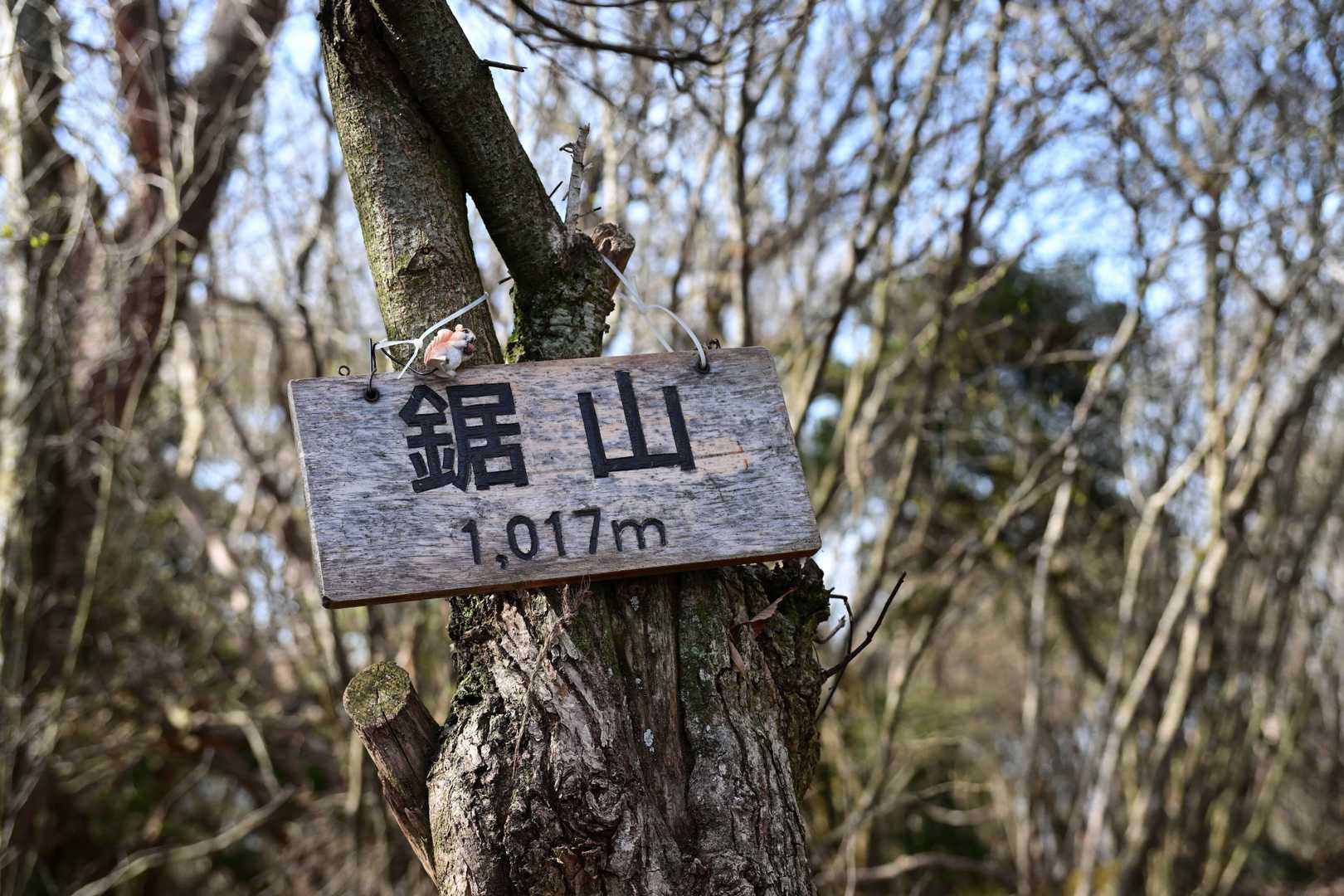 のこぎりやま
到着