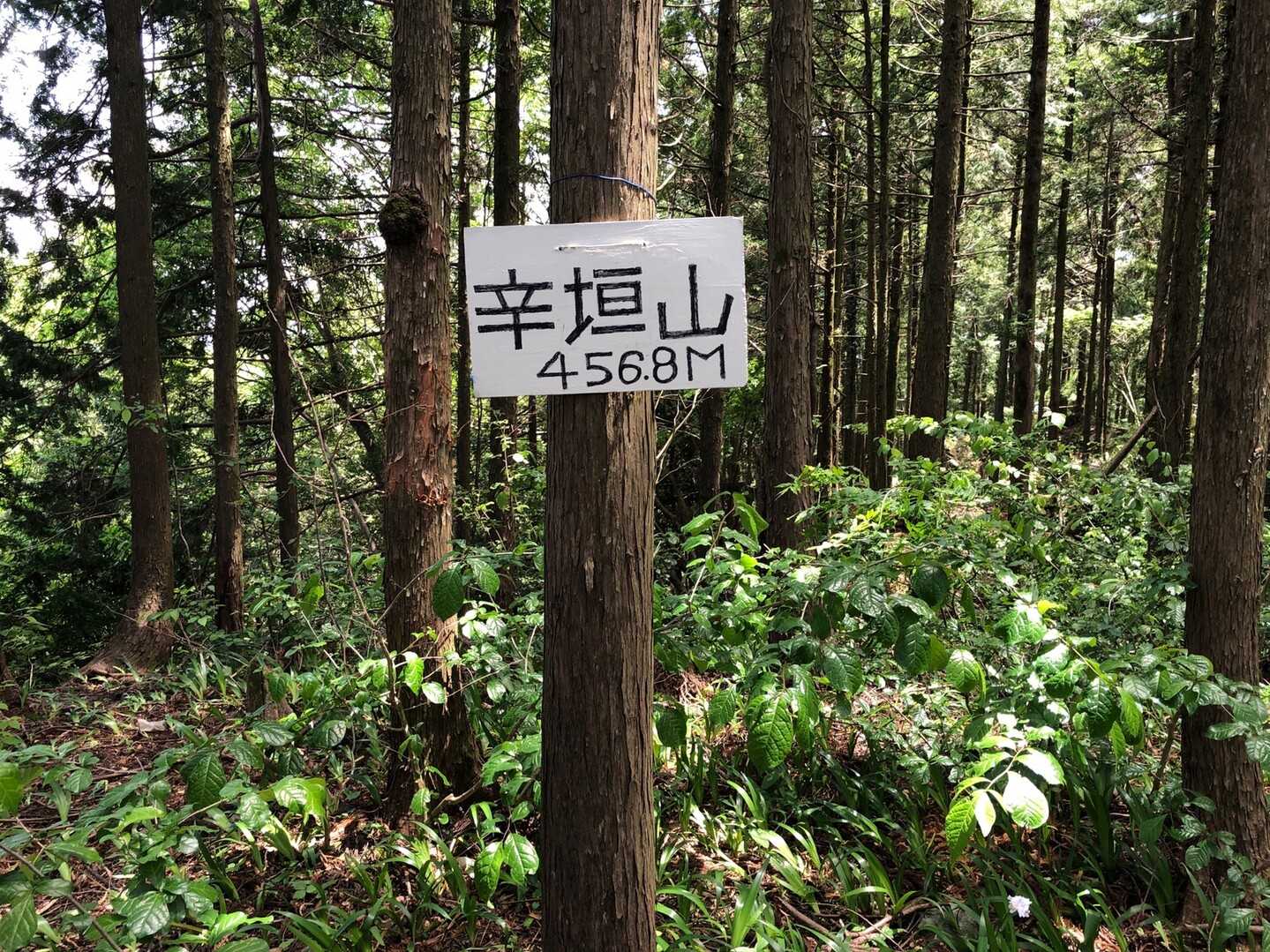 辛垣山の写真