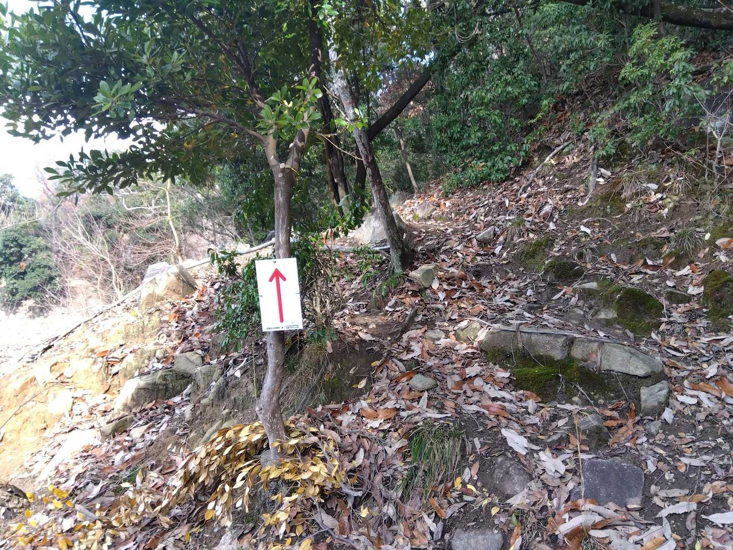 この標識に従って登って行きました🚶🚶