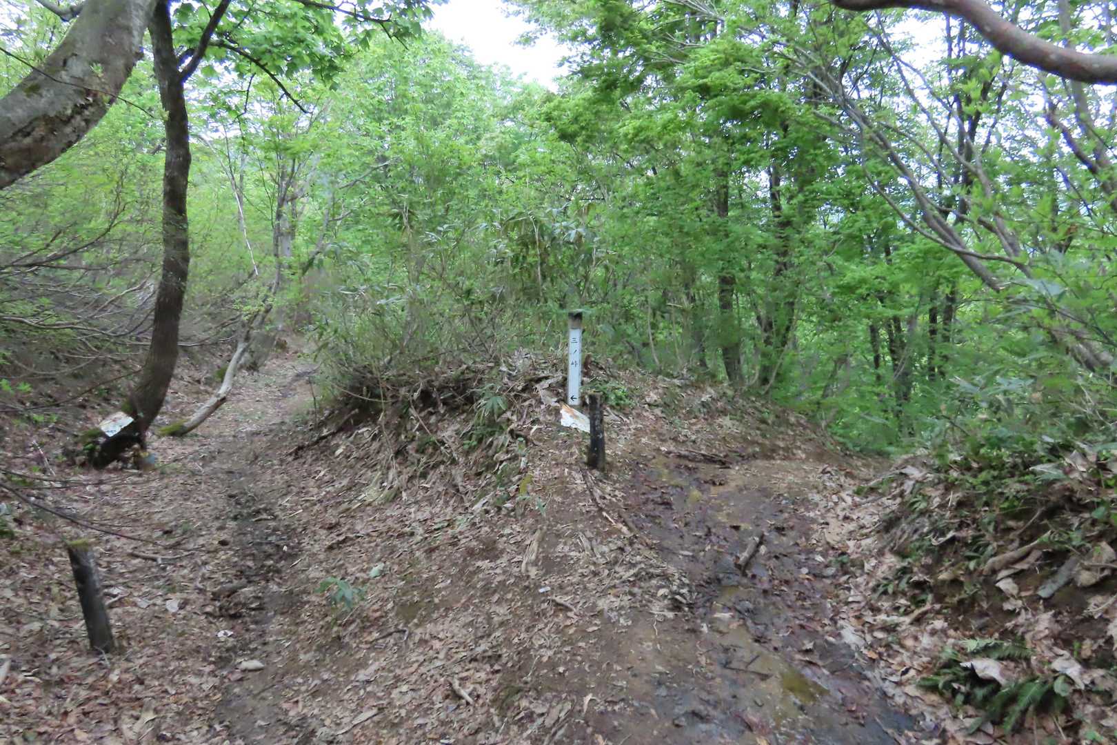 分岐を右折して、