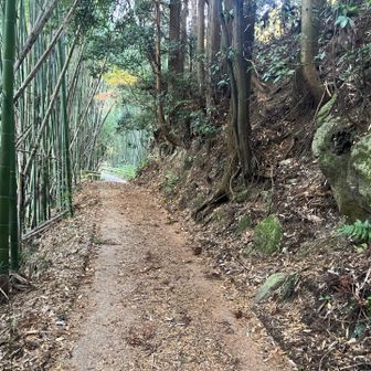 ここから登山道へ