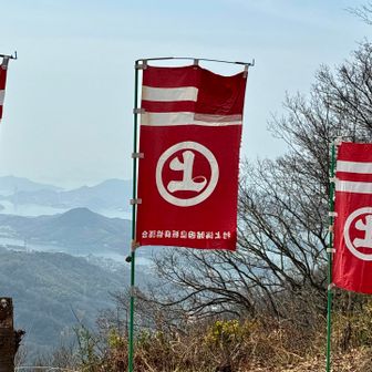 これが見たかった私🚩