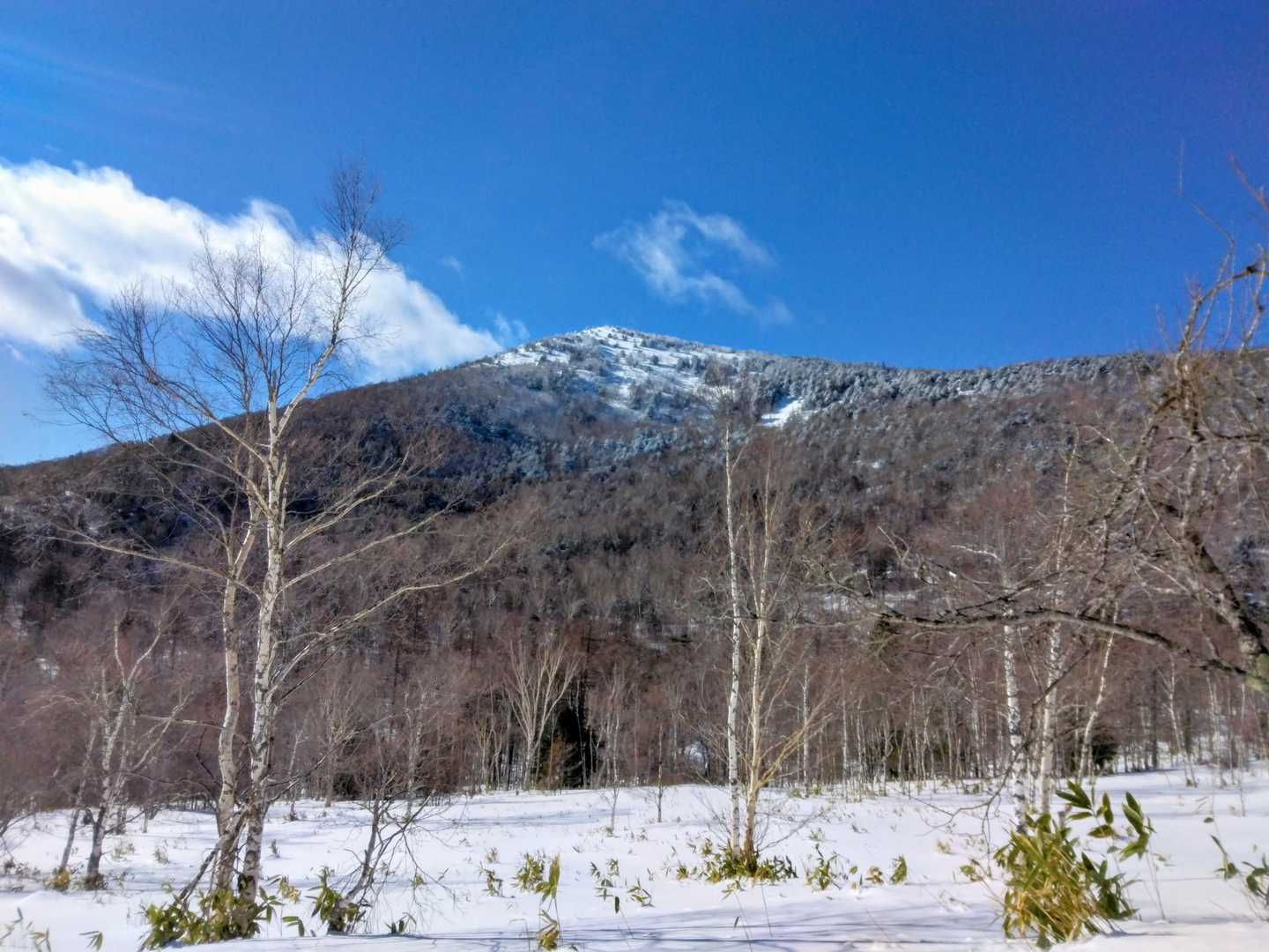 🌋湯の丸山を見ながら進む👣