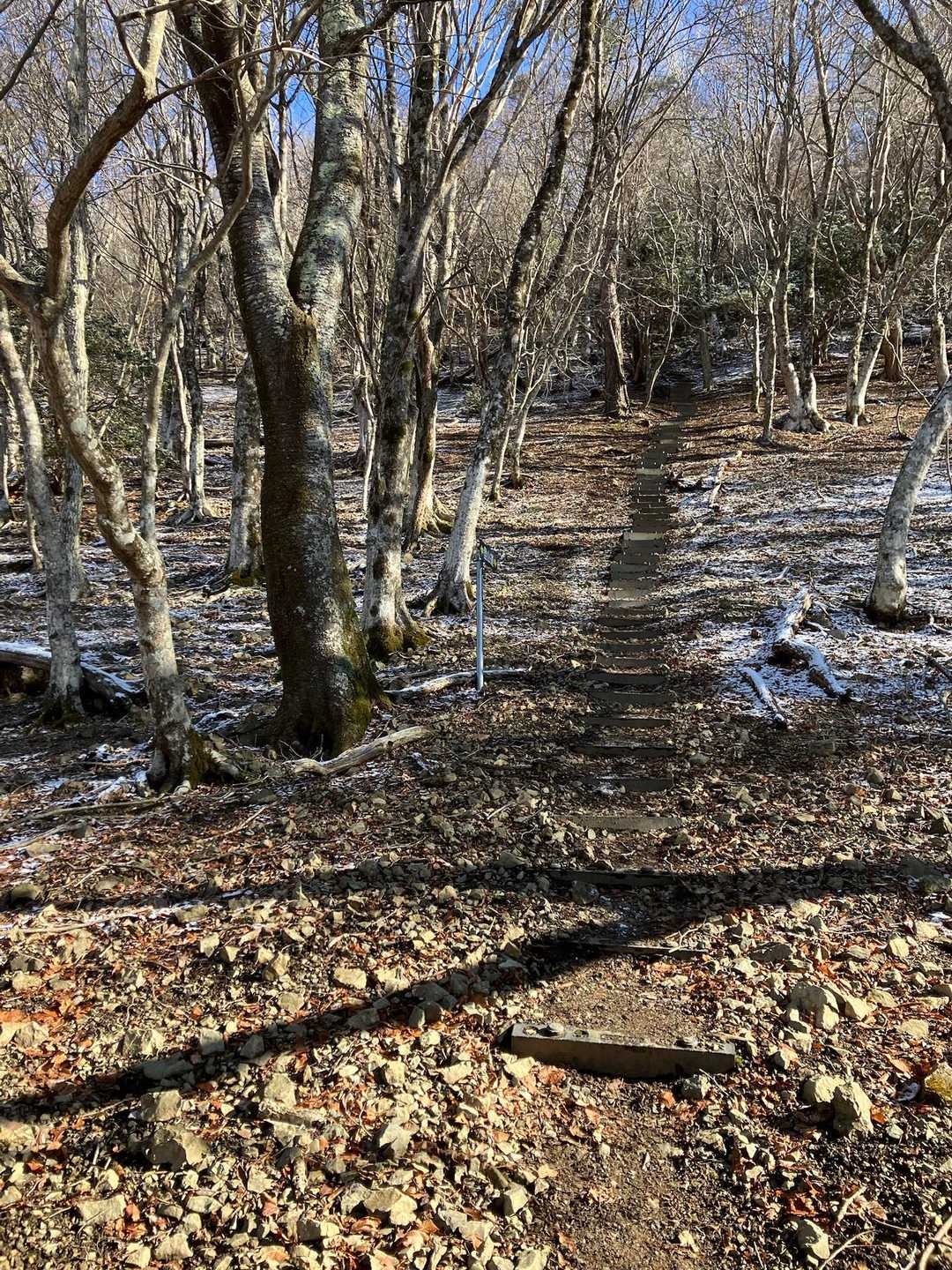 最後の急登階段　数えながら181段でした。
