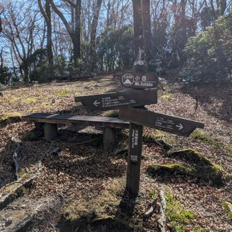 小岳　下見
次は八丁池　行きたいな✨️

他も観光したいので
今日はここまで

戻ります