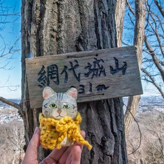 網代弁天山・網代城山 網代城山