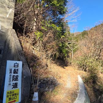 登山口まで無事下山
おつかれ山でした！

今日は1組2名の方だけ遭遇