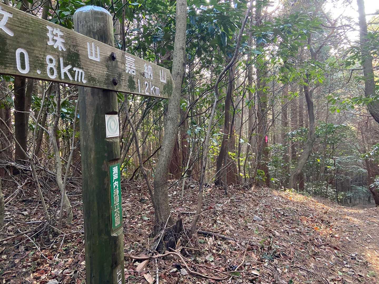 嘉納山へは距離はあるけど割と歩きやすい