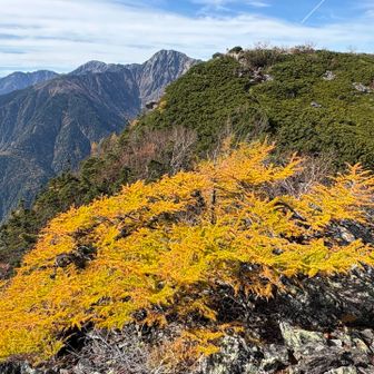 紅葉綺麗です
