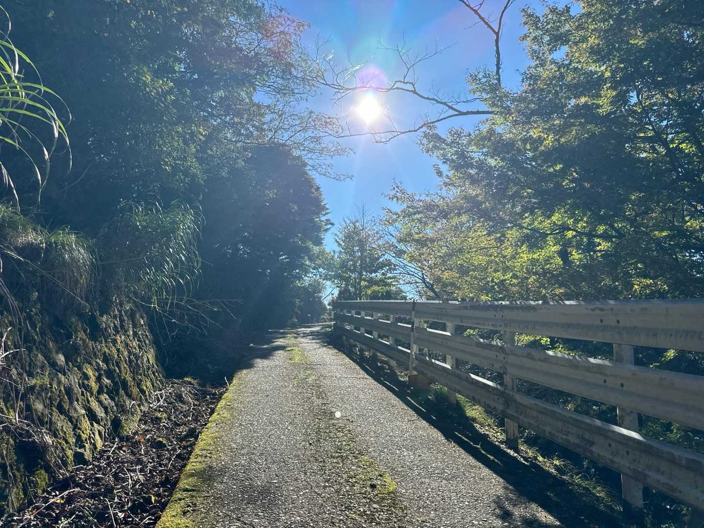 こんな道。