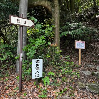 ゴーール！
ここに行きたい人はここから登るんだけど、行きたい人いるのかしら、、
