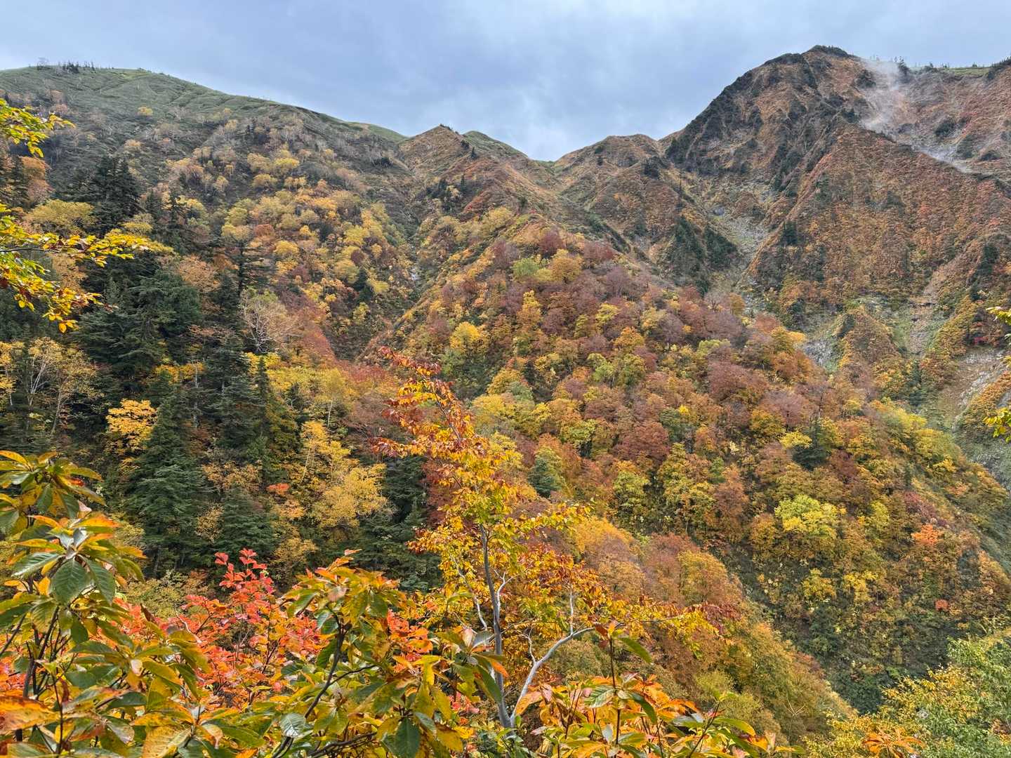 平ヶ岳（プリンスルート） 往復コースの写真