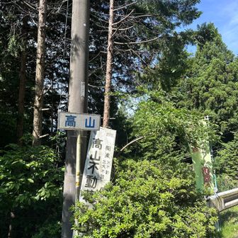 💁🏻‍♂️一応、高山に到着‼︎ (この辺りから苔アート探検見逃し注意⚠️)