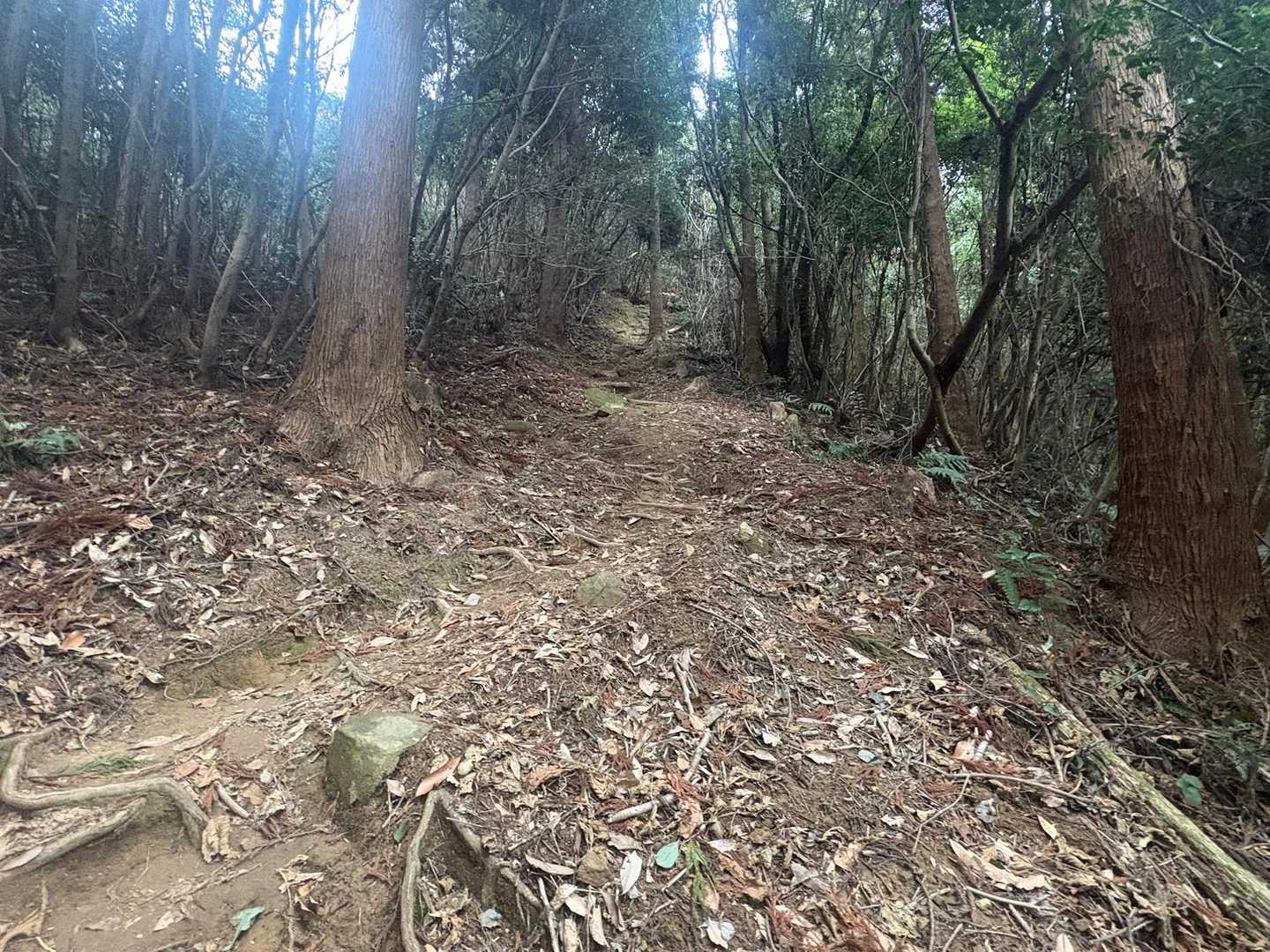 情報通りℹ️急‼️