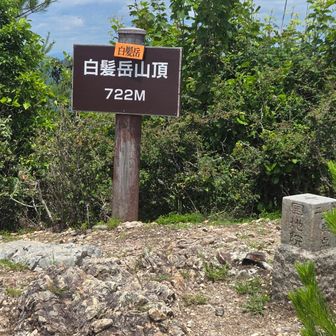 山頂も高い木が所々有りますが、３６０度の眺望。でも、バッテリー切れ。