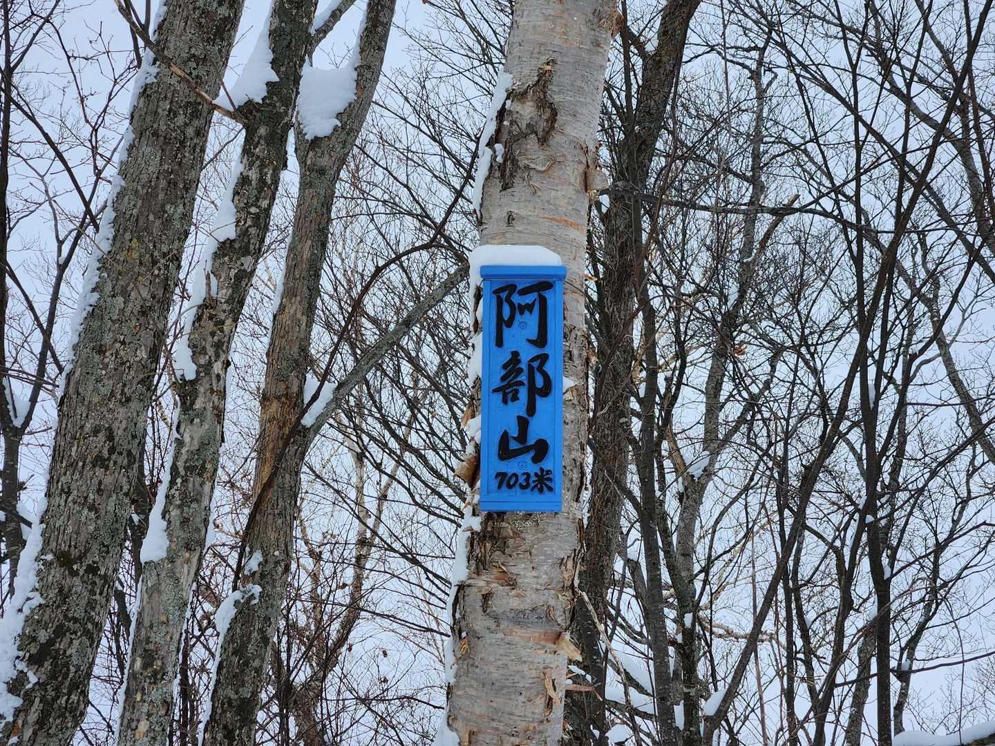 山頂到着。
木々に囲まれており、見晴らしはほぼありません。

栄養補給したり、スノーシューを脱いだりしていると、若者が到着されました。この先の峯越山まで行かれるとのこと。
私も行ってみたい気持ちもありましたが、空を見ると雲が厚くなってきたし、私の足ではここまで結構時間がかかってしまったので、今日はここまでにして、下山することに。。

下山はツボ足でいきます。
今日の雪質、雪の深さだとチェンスパも着けず、ズリズリと滑り落ちながら(たまにズボリながら)下るのが一番楽と考えました。。