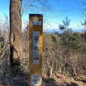 ココはコースから外れてます⛰️
この山頂手前から一旦林道まで下ろされて
そけからまた登り返して、この山頂のちょっと先の稜線に出ます🛣️