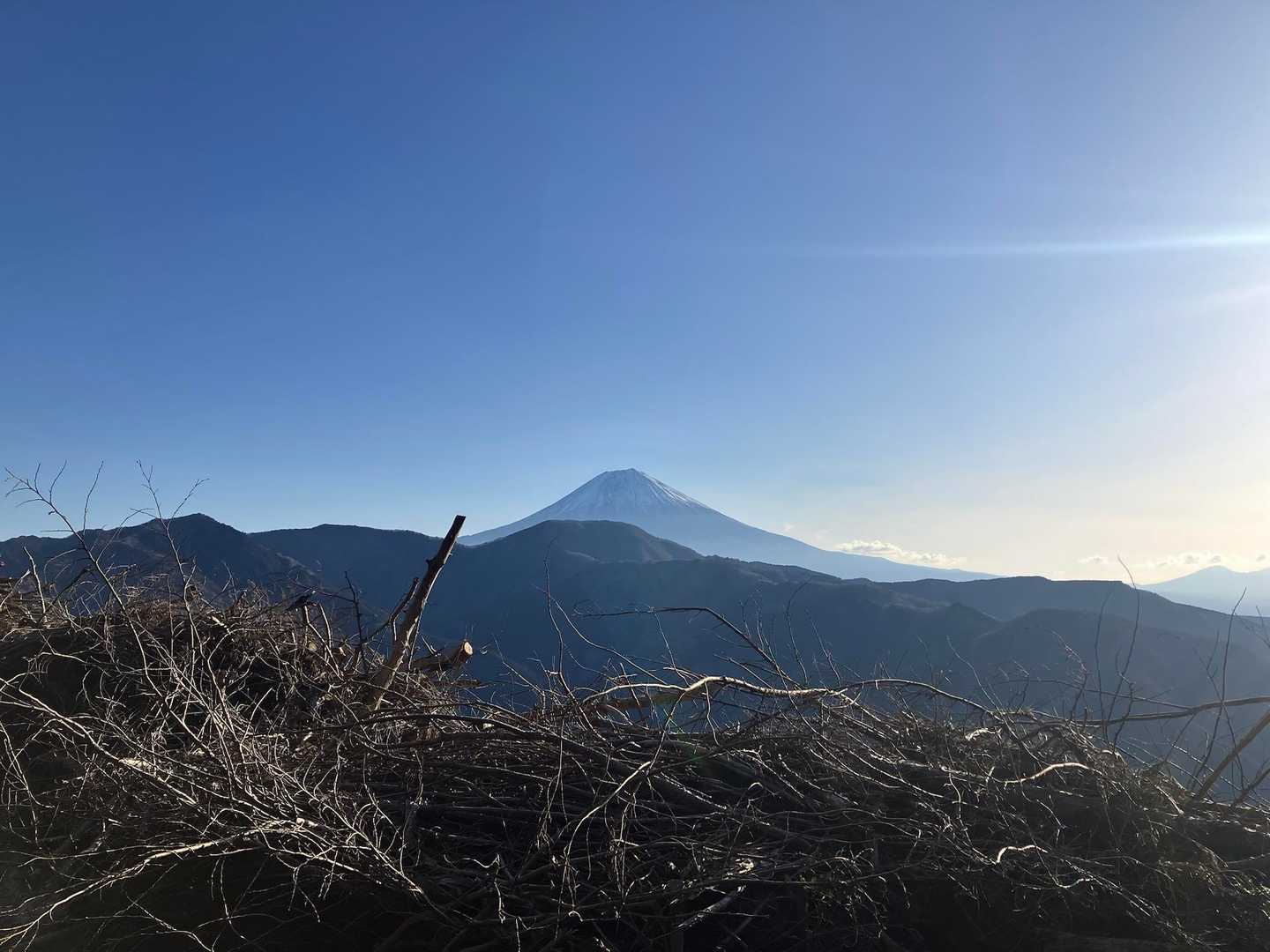 富士山を眺めながらしばらく林道を歩きます