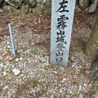 ここは城跡の山🏯