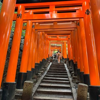本殿の奥には、「お山めぐり」の登り階段が延々と続く。