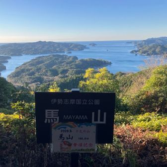 海を見ながらモーニングコーヒー飲みたかったのに