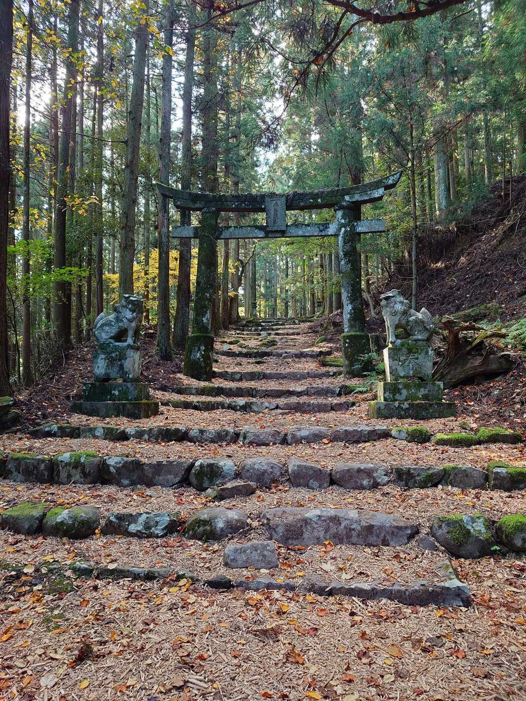 求菩提山・　国見山登山口-国見山 往復コースの写真
