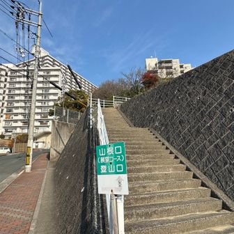 山根口からの展望コースおすすめです