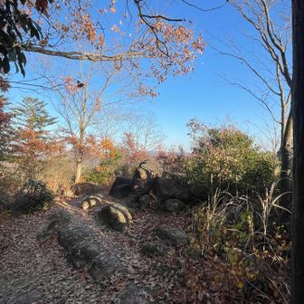 山頂は
このような感じです

