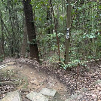 神社のほうに降ります