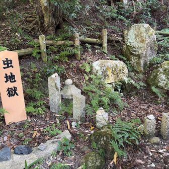 虫地獄⁉️

ネーミング🤣

地獄さは、全く無く
穏やかな夕暮れ時ですけどね🤣

