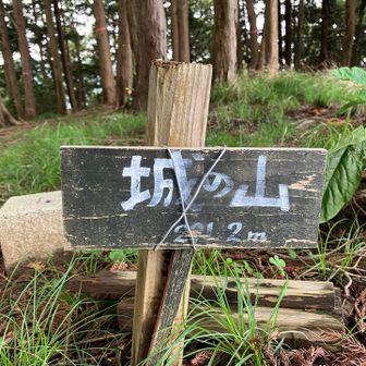 城の山291.2m
控えめな小さな山頂標識