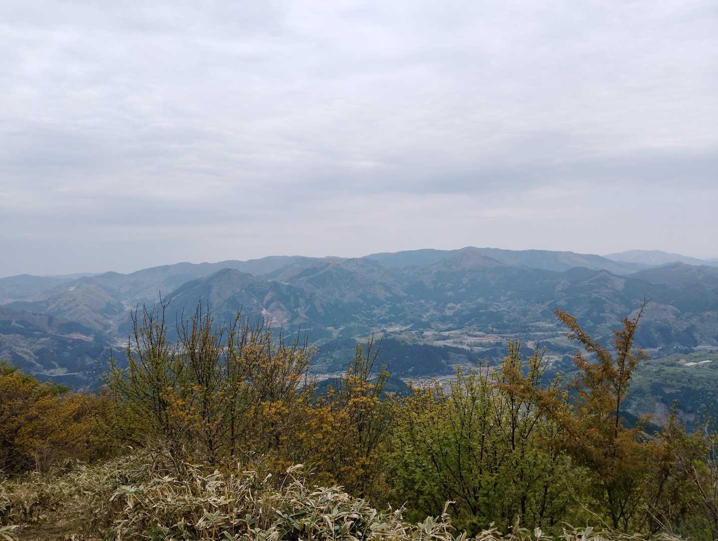 残り15は岡山県北の真庭、津山、鏡野、西粟倉村に点在しています🏔️

どこも🐻の生息地域😢

熊鈴が大活躍の夏になりそうです🔔