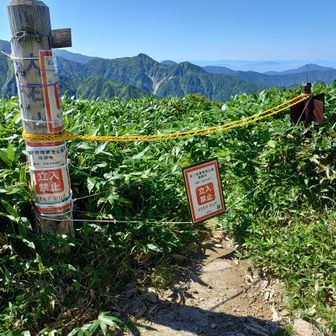 熊被害で胎内方面は通行止め