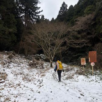 さぁ！行こう〜
もう雪があってワクワク〜❄️