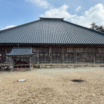 しばらく、トレーニングでお邪魔します。