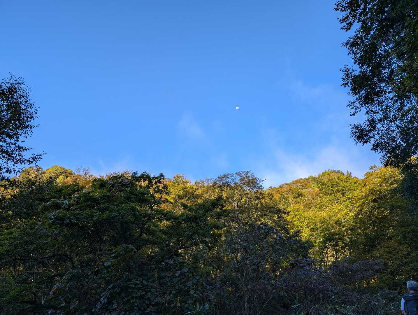 山肌が秋色に🍁