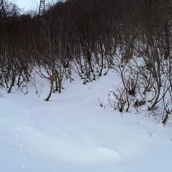 ここからここから😉
スタートだぁ