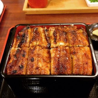 ほたるいかうまお