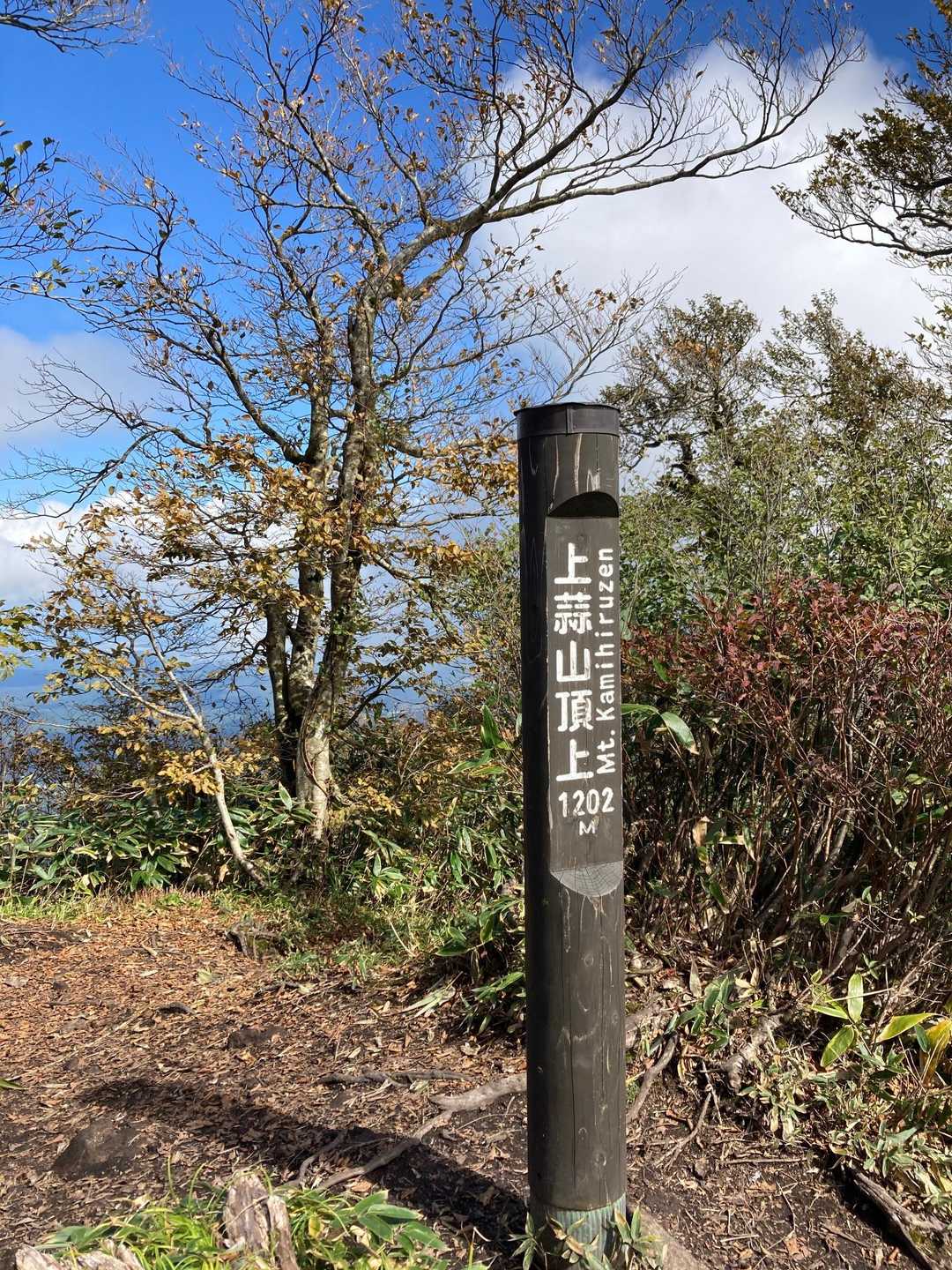 着きました。