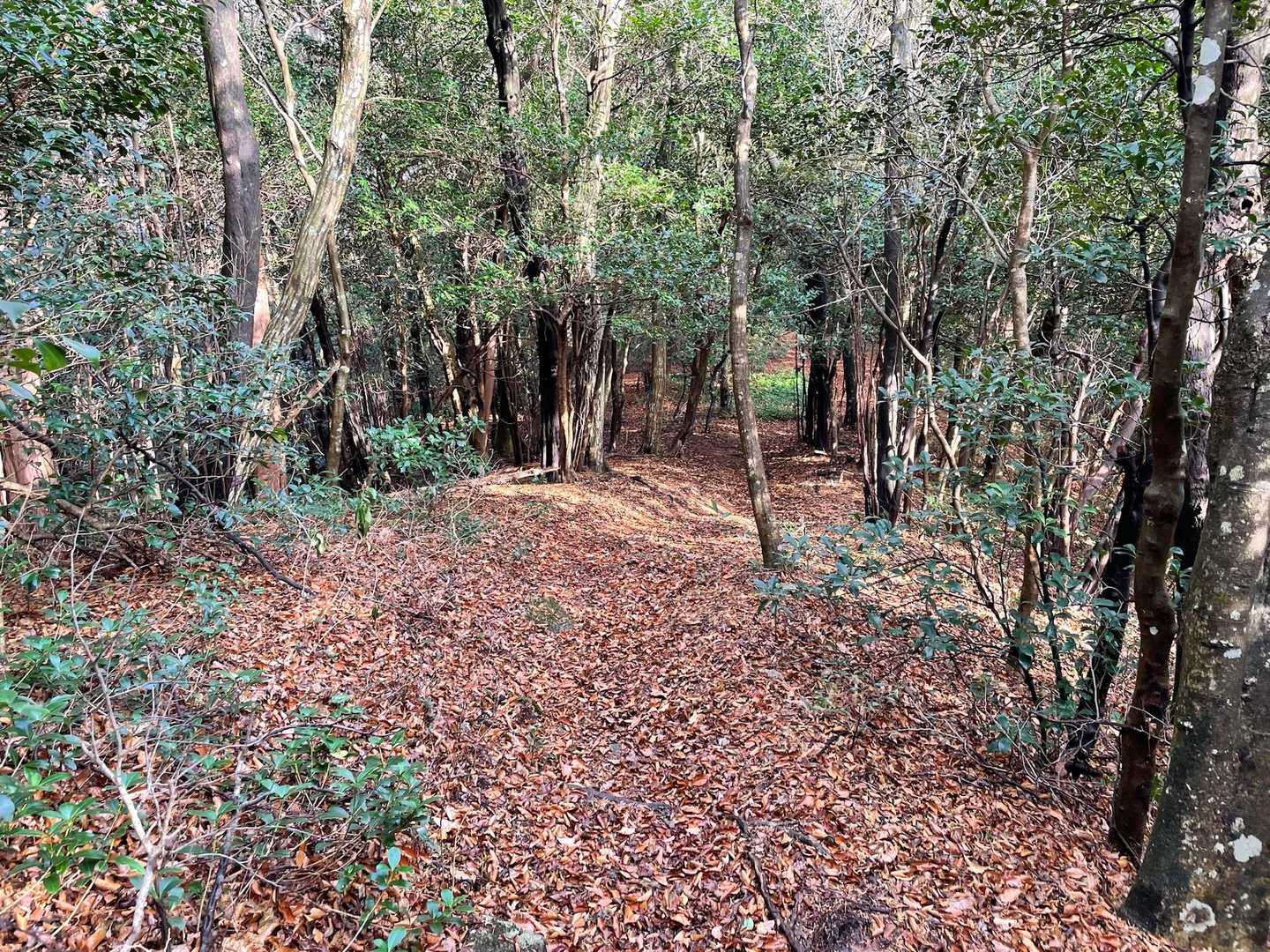 三郡山-砥石山  周回コースの写真