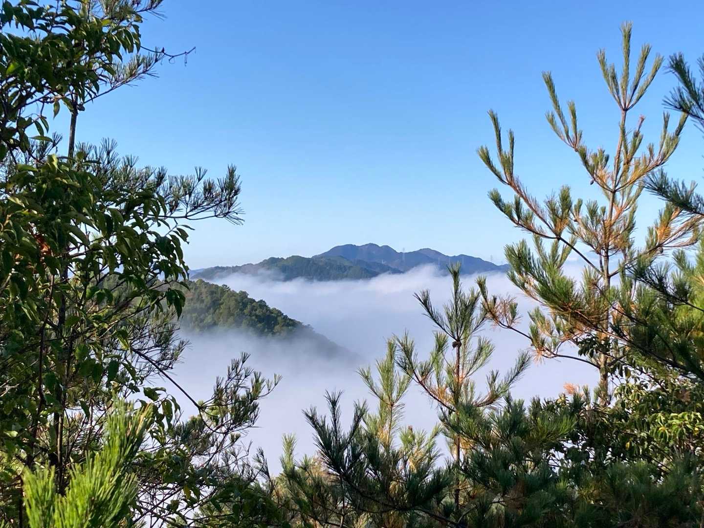 高城山登山道入口-高城山 往復コースの写真