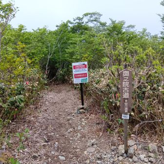 2日目、天神山。
奥の院古道入口。