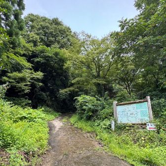 13時から登り出す。
駐車場のおいちゃんに「今から行くの？」と声をかけられました。そうなんです、行くんですよ😓